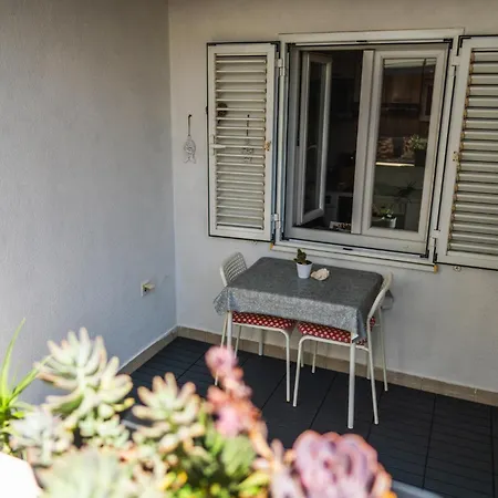 Violet Red Yellow * 코츌라