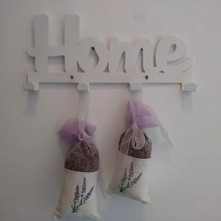 아파트 Violet Red Yellow *