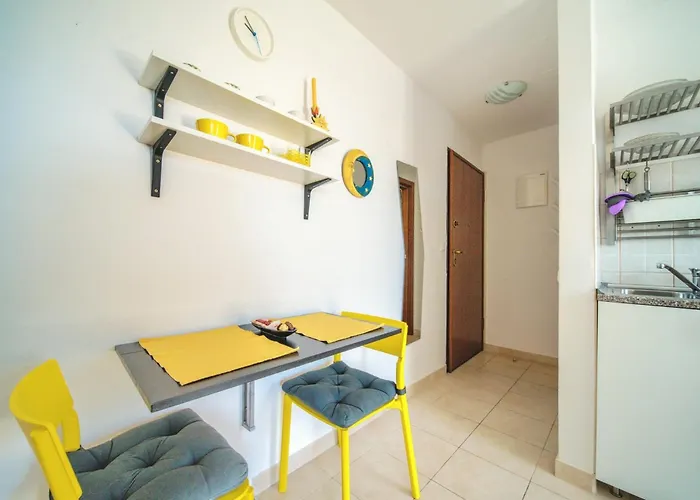 Violet Red Yellow Apartament