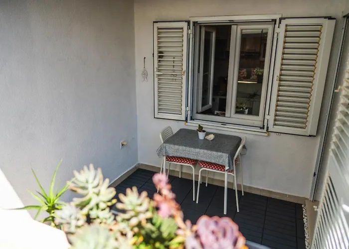 Violet Red Yellow * Korčula